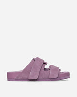 Birkenstock Birkenstock 1774 X Tekla Uji Mauve Sandals and Slides Sandals and Mules 1026280 MAUVE