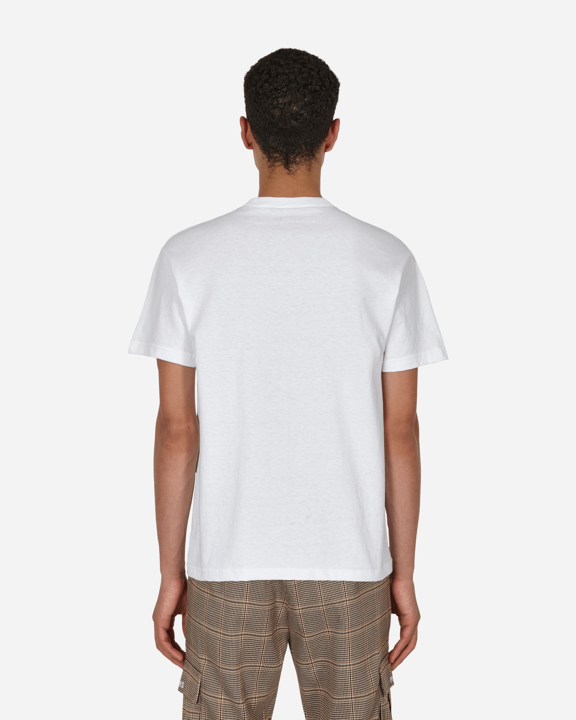 Pleasures Mask T-Shirt White T-Shirts Shortsleeve P22F047 WHITE